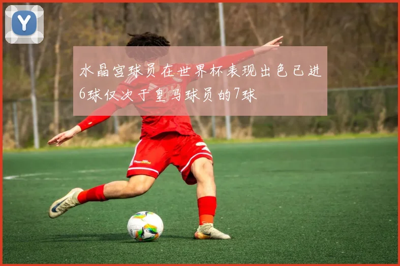 水晶宫球员在世界杯表现出色已进6球仅次于皇马球员的7球