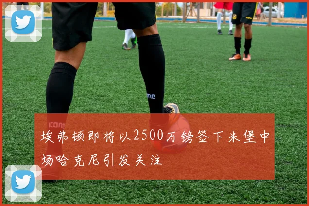 埃弗顿即将以2500万镑签下米堡中场哈克尼引发关注