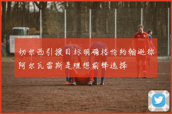 切尔西引援目标明确格伦约翰逊称阿尔瓦雷斯是理想前锋选择